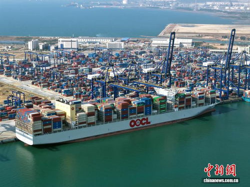 海南封關看變化 洋浦港打通一袋貓砂出海堵點，海空自貿海外倉崛起
